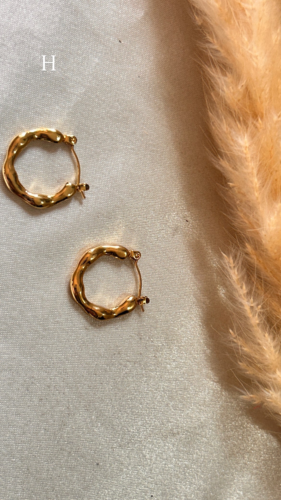 Hoops