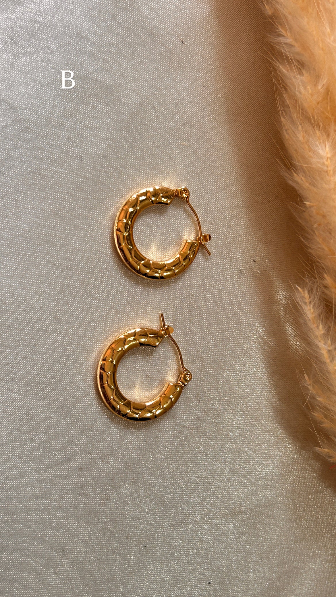 Hoops